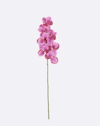 Artificial Flower 20*12*95cm Vanda *7 single stem /moist real touch GS-79826003-Z1 2026SEP 3,000+ sqm showroom with thousands of artificial flowers, plants & trees ready for global sourcing. Artificial Flower 20*12*95cm Vanda *7 single stem /moist real touch GS-79826003-Z1 2026SEP 3,000+ sqm showroom with thousands of artificial flowers, plants & trees ready for global sourcing.