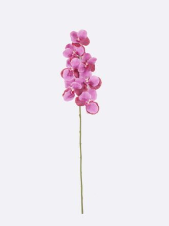 Artificial Flower 20*12*95cm Vanda *7 single stem /moist real touch GS-79826003-Y1 2026SEP 3,000+ sqm showroom with thousands of artificial flowers, plants & trees ready for global sourcing.