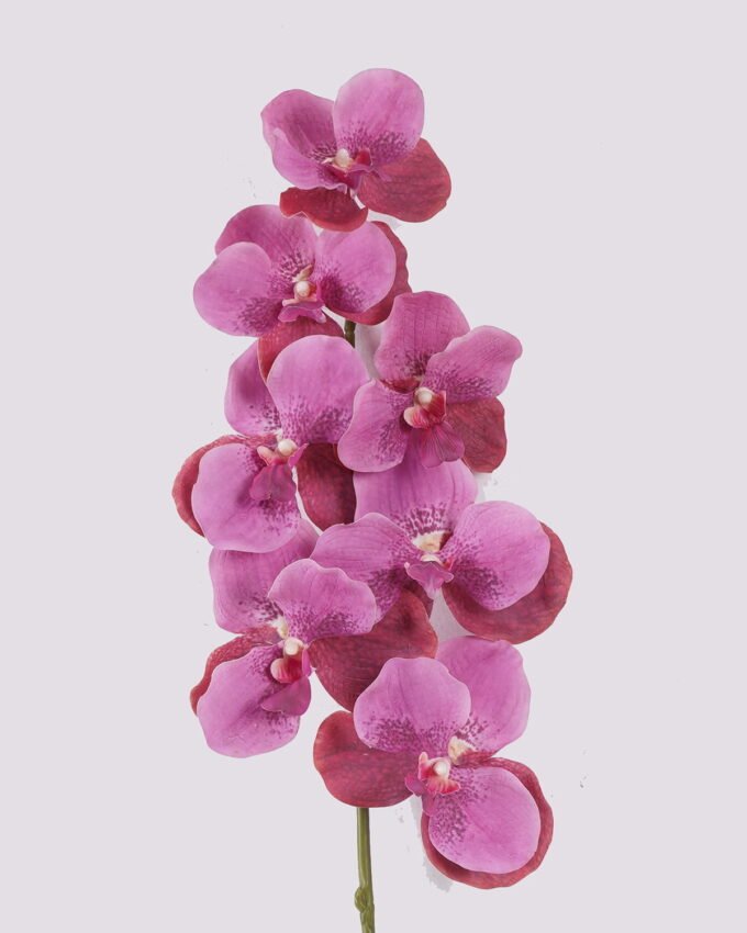 Artificial Flower 20*12*95cm Vanda *7 single stem /moist real touch GS-79826003-Z1 2026SEP 3,000+ sqm showroom with thousands of artificial flowers, plants & trees ready for global sourcing.