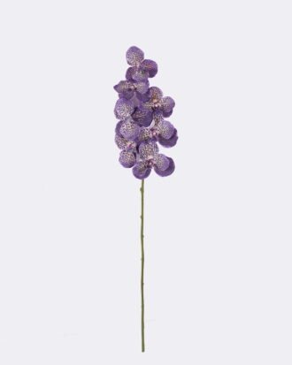 Artificial Flower 20*12*95cm Vanda *7 single stem /moist real touch GS-79826003-Z3 2026SEP 3,000+ sqm showroom with thousands of artificial flowers, plants & trees ready for global sourcing. Artificial Flower 20*12*95cm Vanda *7 single stem /moist real touch GS-79826003-Z3 2026SEP 3,000+ sqm showroom with thousands of artificial flowers, plants & trees ready for global sourcing.