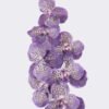 Artificial Flower Vanda 7 single stem moist real touch GS-79826003-Z3_1 Artificial Flower 20*12*95cm Vanda *7 single stem /moist real touch GS-79826003-Z3 2026SEP 3,000+ sqm showroom with thousands of artificial flowers, plants & trees ready for global sourcing.