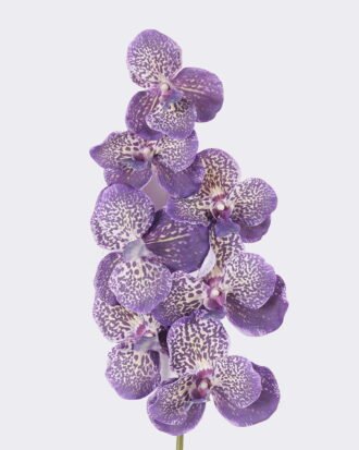 Artificial Flower 20*12*95cm Vanda *7 single stem /moist real touch GS-79826003-Z3 2026SEP 3,000+ sqm showroom with thousands of artificial flowers, plants & trees ready for global sourcing. Artificial Flower 20*12*95cm Vanda *7 single stem /moist real touch GS-79826003-Z3 2026SEP 3,000+ sqm showroom with thousands of artificial flowers, plants & trees ready for global sourcing.
