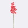 Artificial Flower Vanda 7 single stem moist real touch GS-79826003_3 Artificial Flower 20*12*95cm Vanda *7 single stem /moist real touch GS-79826003 2026SEP 3,000+ sqm showroom with thousands of artificial flowers, plants & trees ready for global sourcing.