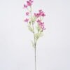 Artificial Flower 13*6*69cm Vanda coerulea *2 single stem GS-00526038-Z1 2026Jun 3,000+ sqm showroom with thousands of artificial flowers, plants & trees ready for global sourcing.