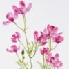 Artificial Flower 13*6*69cm Vanda coerulea *2 single stem GS-00526038-Z1 2026Jun 3,000+ sqm showroom with thousands of artificial flowers, plants & trees ready for global sourcing.