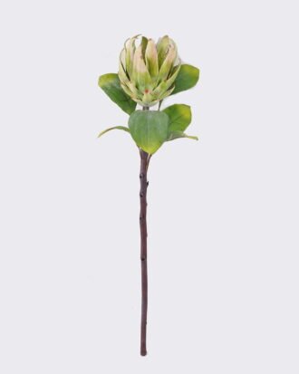 Artificial Flower 20*13*62cm Vileplume single stem GS-59026002-R1 2026Aug 3,000+ sqm showroom with thousands of artificial flowers, plants & trees ready for global sourcing. Artificial Flower 20*13*62cm Vileplume single stem GS-59026002-R1 2026Aug 3,000+ sqm showroom with thousands of artificial flowers, plants & trees ready for global sourcing.