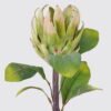 Artificial Flower Vileplume single stem GS-59026002-R1_2 Artificial Flower 20*13*62cm Vileplume single stem GS-59026002-R1 2026Aug 3,000+ sqm showroom with thousands of artificial flowers, plants & trees ready for global sourcing.