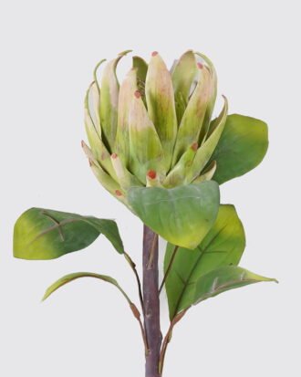 Artificial Flower 20*13*62cm Vileplume single stem GS-59026002-R1 2026Aug 3,000+ sqm showroom with thousands of artificial flowers, plants & trees ready for global sourcing. Artificial Flower 20*13*62cm Vileplume single stem GS-59026002-R1 2026Aug 3,000+ sqm showroom with thousands of artificial flowers, plants & trees ready for global sourcing.