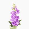Artificial Flower Violet single stem GS-23926001-Z3_1 Artificial Flower 15*5*59cm Violet single stem GS-23926001-Z3 2026Jul 3,000+ sqm showroom with thousands of artificial flowers, plants & trees ready for global sourcing.