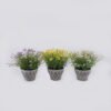 Artificial Flower Wild flower in Cement pot GS-03326113_1 Artificial Flower 32*32*30cm Wild flower in Cement pot GS-03326113 2026Jun 3,000+ sqm showroom with thousands of artificial flowers, plants & trees ready for global sourcing.