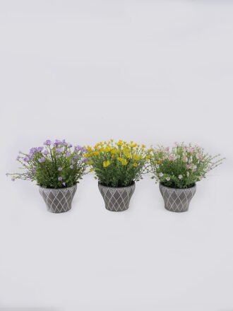 Artificial Table Plants 35*35*35cm Grass in Cement pot GS-03326114 2026Jun 3,000+ sqm showroom with thousands of artificial flowers, plants & trees ready for global sourcing.
