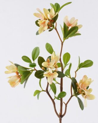 Artificial Flower 26*10*77cm Winter jasmine single stem GS-84426004-Y1 2026SEP 3,000+ sqm showroom with thousands of artificial flowers, plants & trees ready for global sourcing. Artificial Flower 26*10*77cm Winter jasmine single stem GS-84426004-Y1 2026SEP 3,000+ sqm showroom with thousands of artificial flowers, plants & trees ready for global sourcing.