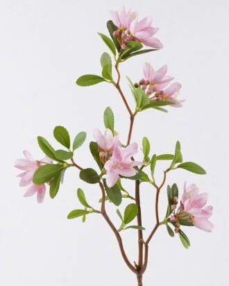 Artificial Flower 26*10*77cm Winter jasmine single stem GS-84426004 2026SEP 3,000+ sqm showroom with thousands of artificial flowers, plants & trees ready for global sourcing. Artificial Flower 26*10*77cm Winter jasmine single stem GS-84426004 2026SEP 3,000+ sqm showroom with thousands of artificial flowers, plants & trees ready for global sourcing.