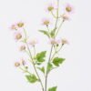 Artificial Flower chamomile 14 single ste GS-29226005-P1_2 Artificial Flower 12*4*69cm chamomile *14 single ste GS-29226005-P1 2026Jul 3,000+ sqm showroom with thousands of artificial flowers, plants & trees ready for global sourcing.