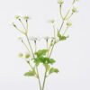 Artificial Flower chamomile 14 single ste GS-29226005-W1_2 Artificial Flower 12*4*69cm chamomile *14 single ste GS-29226005-W1 2026Jul 3,000+ sqm showroom with thousands of artificial flowers, plants & trees ready for global sourcing.