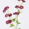 Artificial Flower chamomile 14 single ste GS-29226005-Z1_2 Artificial Flower 12*4*69cm chamomile *14 single ste GS-29226005-Z1 2026Jul 3,000+ sqm showroom with thousands of artificial flowers, plants & trees ready for global sourcing.