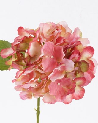 Artificial Flower 22*15*45cm cornered hydrangea flower Single Stem GS-27926015-P1 2026Jul 3,000+ sqm showroom with thousands of artificial flowers, plants & trees ready for global sourcing. Artificial Flower 22*15*45cm cornered hydrangea flower Single Stem GS-27926015-P1 2026Jul 3,000+ sqm showroom with thousands of artificial flowers, plants & trees ready for global sourcing.