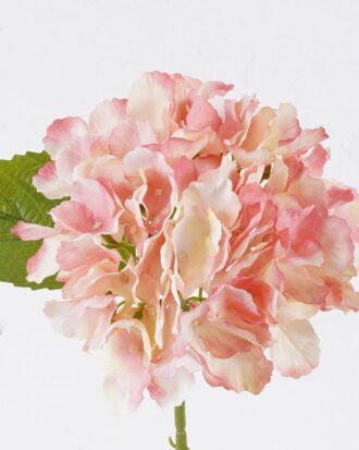Artificial Flower 22*15*45cm cornered hydrangea flower Single Stem GS-27926015-P2 2026Jul 3,000+ sqm showroom with thousands of artificial flowers, plants & trees ready for global sourcing. Artificial Flower 22*15*45cm cornered hydrangea flower Single Stem GS-27926015-P2 2026Jul 3,000+ sqm showroom with thousands of artificial flowers, plants & trees ready for global sourcing.