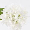 Artificial Flower 22*15*45cm cornered hydrangea flower Single Stem GS-27926015 2026Jul 3,000+ sqm showroom with thousands of artificial flowers, plants & trees ready for global sourcing.
