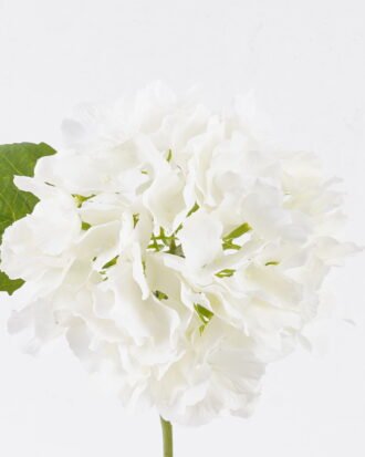 Artificial Flower 22*15*45cm cornered hydrangea flower Single Stem GS-27926015 2026Jul 3,000+ sqm showroom with thousands of artificial flowers, plants & trees ready for global sourcing. Artificial Flower 22*15*45cm cornered hydrangea flower Single Stem GS-27926015 2026Jul 3,000+ sqm showroom with thousands of artificial flowers, plants & trees ready for global sourcing.