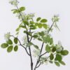 Artificial Flower locust flower 16 single stem GS-84426001_2 Artificial Flower 37*13*97cm locust flower *16 single stem GS-84426001 2026SEP 3,000+ sqm showroom with thousands of artificial flowers, plants & trees ready for global sourcing.