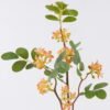 Artificial Flower locust flower 7 single stem GS-84426005-O1_2 Artificial Flower 22*10*74cm locust flower *7 single stem GS-84426005-O1 2026SEP 3,000+ sqm showroom with thousands of artificial flowers, plants & trees ready for global sourcing.