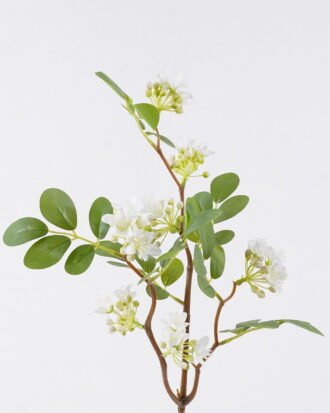 Artificial Flower 22*10*74cm locust flower *7 single stem GS-84426005 2026SEP 3,000+ sqm showroom with thousands of artificial flowers, plants & trees ready for global sourcing. Artificial Flower 22*10*74cm locust flower *7 single stem GS-84426005 2026SEP 3,000+ sqm showroom with thousands of artificial flowers, plants & trees ready for global sourcing.