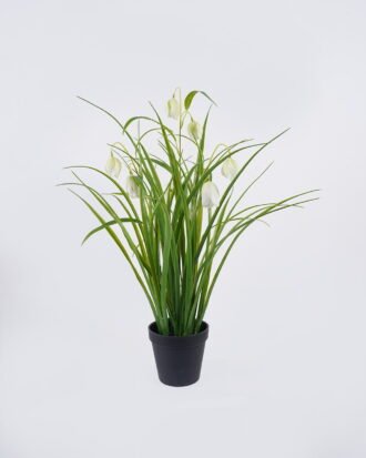 Artificial Flower 30*27*57m Sichuan fritillaria in PP pot GS-39126005-W1 2026Jul 3,000+ sqm showroom with thousands of artificial flowers, plants & trees ready for global sourcing. Artificial Flower 30*27*57m Sichuan fritillaria in PP pot GS-39126005-W1 2026Jul 3,000+ sqm showroom with thousands of artificial flowers, plants & trees ready for global sourcing.