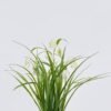 Artificial Flower m Sichuan fritillaria in PP pot GS-39126005-W1_2 Artificial Flower 30*27*57m Sichuan fritillaria in PP pot GS-39126005-W1 2026Jul 3,000+ sqm showroom with thousands of artificial flowers, plants & trees ready for global sourcing.