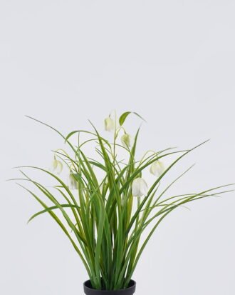 Artificial Flower 30*27*57m Sichuan fritillaria in PP pot GS-39126005-W1 2026Jul 3,000+ sqm showroom with thousands of artificial flowers, plants & trees ready for global sourcing. Artificial Flower 30*27*57m Sichuan fritillaria in PP pot GS-39126005-W1 2026Jul 3,000+ sqm showroom with thousands of artificial flowers, plants & trees ready for global sourcing.