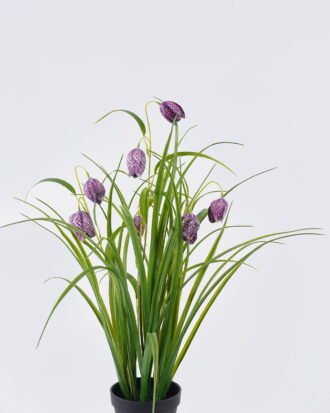 Artificial Flower 30*27*57m Sichuan fritillaria in PP pot GS-39126005-Z1 2026Jul 3,000+ sqm showroom with thousands of artificial flowers, plants & trees ready for global sourcing. Artificial Flower 30*27*57m Sichuan fritillaria in PP pot GS-39126005-Z1 2026Jul 3,000+ sqm showroom with thousands of artificial flowers, plants & trees ready for global sourcing.