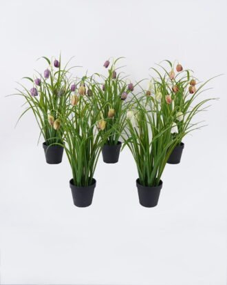 Artificial Flower 30*27*57m Sichuan fritillaria in PP pot GS-39126005 2026Jul 3,000+ sqm showroom with thousands of artificial flowers, plants & trees ready for global sourcing. Artificial Flower 30*27*57m Sichuan fritillaria in PP pot GS-39126005 2026Jul 3,000+ sqm showroom with thousands of artificial flowers, plants & trees ready for global sourcing.