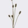 Artificial Flower metasone single stem GS-57926005_2 Artificial Flower 10*3*77cm metasone single stem GS-57926005 2026Aug 3,000+ sqm showroom with thousands of artificial flowers, plants & trees ready for global sourcing.