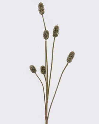 Artificial Flower 10*3*77cm metasone single stem GS-57926005 2026Aug 3,000+ sqm showroom with thousands of artificial flowers, plants & trees ready for global sourcing. Artificial Flower 10*3*77cm metasone single stem GS-57926005 2026Aug 3,000+ sqm showroom with thousands of artificial flowers, plants & trees ready for global sourcing.