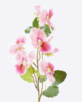 Artificial Flower 16*10*67cm pansy single stem GS-27926052-O2 2026Jul 3,000+ sqm showroom with thousands of artificial flowers, plants & trees ready for global sourcing. Artificial Flower 16*10*67cm pansy single stem GS-27926052-O2 2026Jul 3,000+ sqm showroom with thousands of artificial flowers, plants & trees ready for global sourcing.