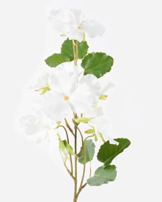 Artificial Flower 16*10*67cm pansy single stem GS-27926052-W1 2026Jul 3,000+ sqm showroom with thousands of artificial flowers, plants & trees ready for global sourcing. Artificial Flower 16*10*67cm pansy single stem GS-27926052-W1 2026Jul 3,000+ sqm showroom with thousands of artificial flowers, plants & trees ready for global sourcing.