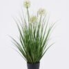 Artificial Grass 70cm Potted Dandelion Grass 3 GS-61925067 Artificial Grass 70cm Potted Dandelion Grass *3 GS-61925067 2026Aug 3,000+ sqm showroom with thousands of artificial flowers, plants & trees ready for global sourcing.