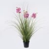 Artificial Grass Bellflower PVC grass in PP pot GS-03326111-P1 Artificial Grass 60*60*80cm Bellflower PVC grass in PP pot GS-03326111-P1 2026Jun 3,000+ sqm showroom with thousands of artificial flowers, plants & trees ready for global sourcing.