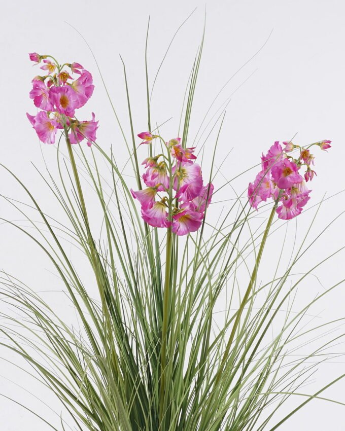 Artificial Grass 60*60*80cm Bellflower PVC grass in PP pot GS-03326111-P1 2026Jun 3,000+ sqm showroom with thousands of artificial flowers, plants & trees ready for global sourcing.