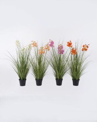 Artificial Grass 60*60*80cm Bellflower PVC grass in PP pot GS-03326111 2026Jun 3,000+ sqm showroom with thousands of artificial flowers, plants & trees ready for global sourcing. Artificial Grass 60*60*80cm Bellflower PVC grass in PP pot GS-03326111 2026Jun 3,000+ sqm showroom with thousands of artificial flowers, plants & trees ready for global sourcing.