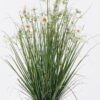 Artificial Grass Chrysanthemum Grass in PP pot GS-29426044_2 Artificial Grass 35*23*91cm Chrysanthemum Grass in PP pot GS-29426044 2026Jul 3,000+ sqm showroom with thousands of artificial flowers, plants & trees ready for global sourcing.