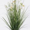 Artificial Grass 23*15*74cm Chrysanthemum Grass in PP pot GS-29426045 2026Jul 3,000+ sqm showroom with thousands of artificial flowers, plants & trees ready for global sourcing.