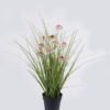 Artificial Grass Echinacea PVC Grass in PP pot GS-03326084-P1 Artificial Grass 40*40*42cm Echinacea PVC Grass in PP pot GS-03326084-P1 2026Jun 3,000+ sqm showroom with thousands of artificial flowers, plants & trees ready for global sourcing.