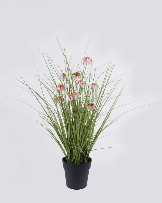 Artificial Grass 40*40*42cm Echinacea PVC Grass in PP pot GS-03326084-P1 2026Jun 3,000+ sqm showroom with thousands of artificial flowers, plants & trees ready for global sourcing.
