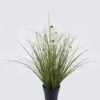 Artificial Grass Echinacea PVC Grass in PP pot GS-03326084-W1 Artificial Grass 40*40*42cm Echinacea PVC Grass in PP pot GS-03326084-W1 2026Jun 3,000+ sqm showroom with thousands of artificial flowers, plants & trees ready for global sourcing.