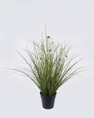 Artificial Grass 40*40*42cm Echinacea PVC Grass in PP pot GS-03326084-W1 2026Jun 3,000+ sqm showroom with thousands of artificial flowers, plants & trees ready for global sourcing. Artificial Grass 40*40*42cm Echinacea PVC Grass in PP pot GS-03326084-W1 2026Jun 3,000+ sqm showroom with thousands of artificial flowers, plants & trees ready for global sourcing.