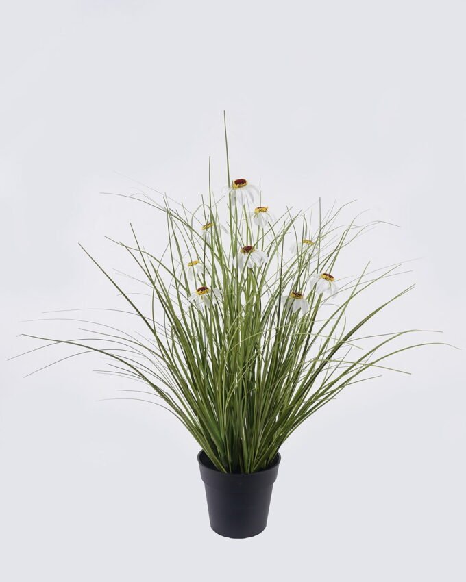 Artificial Grass 40*40*42cm Echinacea PVC Grass in PP pot GS-03326084-W1 2026Jun 3,000+ sqm showroom with thousands of artificial flowers, plants & trees ready for global sourcing.