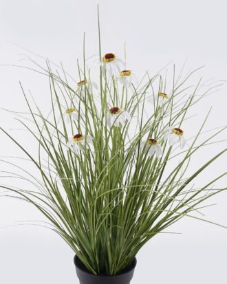 Artificial Grass 40*40*42cm Echinacea PVC Grass in PP pot GS-03326084-W1 2026Jun 3,000+ sqm showroom with thousands of artificial flowers, plants & trees ready for global sourcing. Artificial Grass 40*40*42cm Echinacea PVC Grass in PP pot GS-03326084-W1 2026Jun 3,000+ sqm showroom with thousands of artificial flowers, plants & trees ready for global sourcing.
