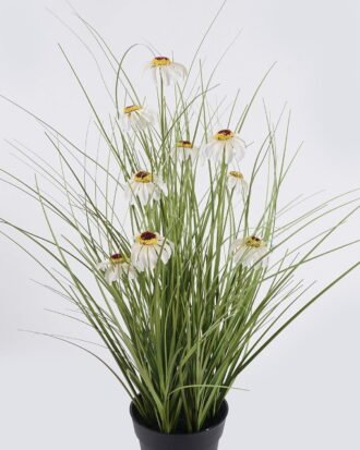 Artificial Grass 40*40*42cm Echinacea PVC Grass in PP pot GS-03326084-W2 2026Jun 3,000+ sqm showroom with thousands of artificial flowers, plants & trees ready for global sourcing. Artificial Grass 40*40*42cm Echinacea PVC Grass in PP pot GS-03326084-W2 2026Jun 3,000+ sqm showroom with thousands of artificial flowers, plants & trees ready for global sourcing.