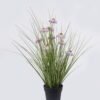 Artificial Grass Echinacea PVC Grass in PP pot GS-03326084-Z1 Artificial Grass 40*40*42cm Echinacea PVC Grass in PP pot GS-03326084-Z1 2026Jun 3,000+ sqm showroom with thousands of artificial flowers, plants & trees ready for global sourcing.
